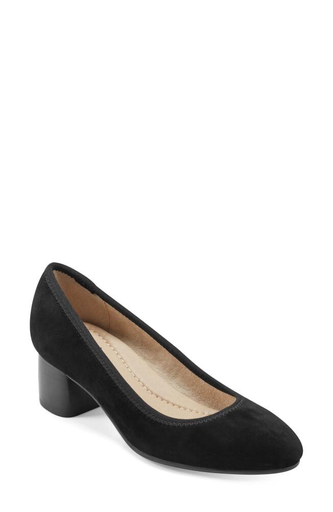 Earth® Rellia Block Heel Pump in Black Suede Cover