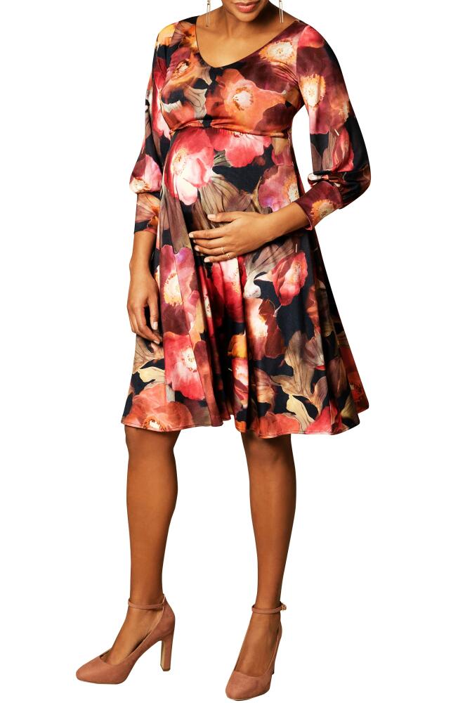 Tiffany Rose Pixie A-Line Maternity Dress in Dark Blooms Cover