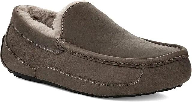 UGG Ascot (Thunder Cloud) Men's Slippers Cover