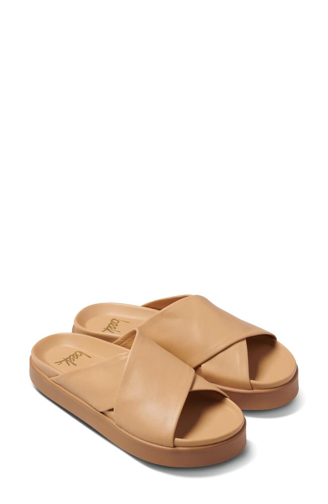 Beek Hen Slide Sandal in Beach Cover