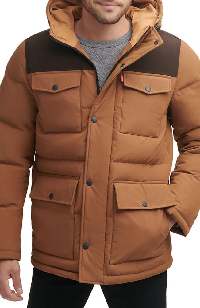 levi's Arctic Cloth Heavyweight Parka in Brown Combo Cover