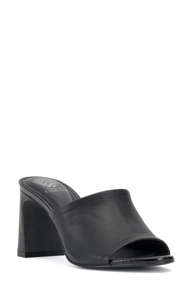 Vince Camuto Alyysa Slide Sandal in Black Cover