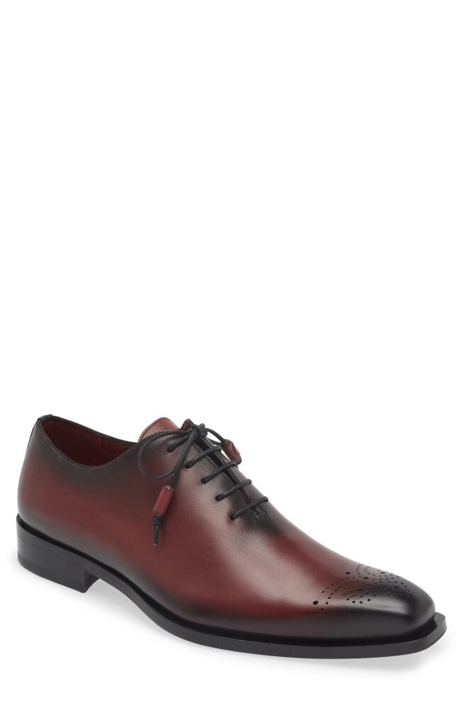 Mezlan Brogue Oxford in Burgundy Cover