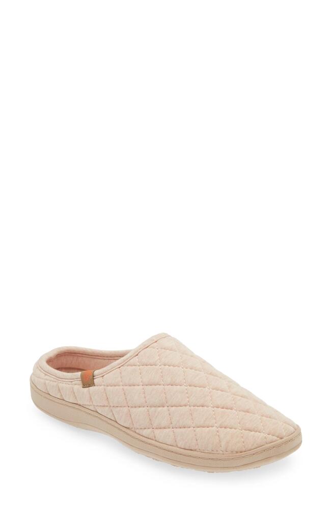 Acorn Lupine Quilted Hoodback Slipper in Beige Cover