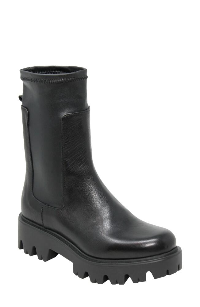 Charles David Hallow Lug Sole Bootie in Black/Leather/Stretch Cover