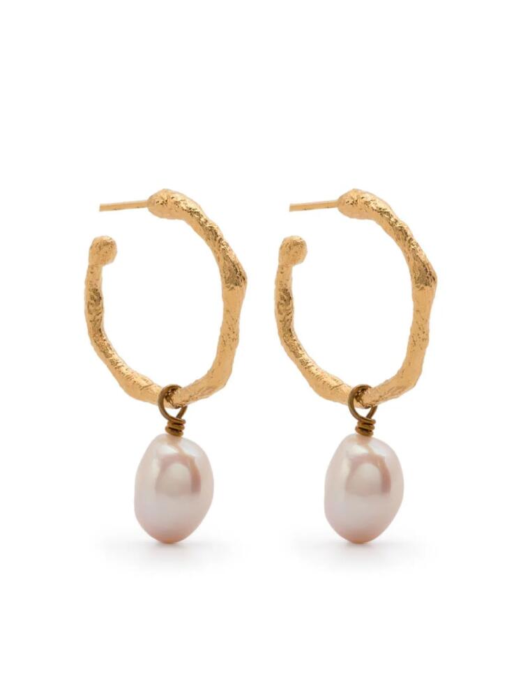 Forte Forte faux-pearl pendant hoop earrings - Gold Cover