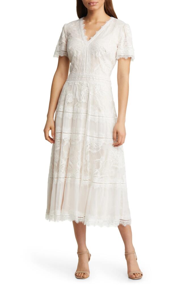 Tadashi Shoji Lace & Mesh Midi Cocktail Dress in Ivory/Petal Cover