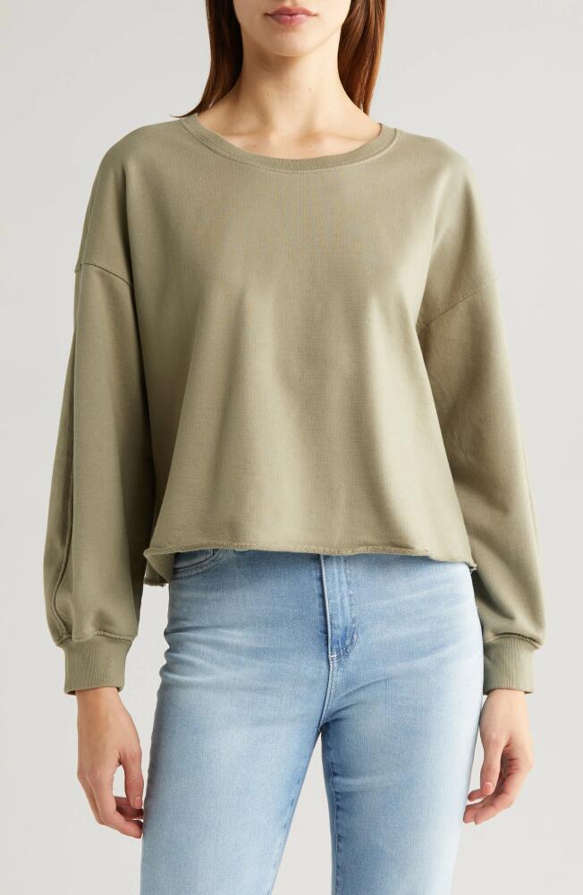 AG Willow Sweatshirt in Dried Parsley Cover