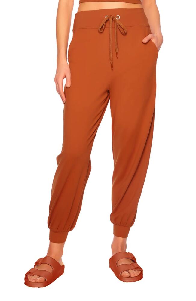 Susana Monaco Drawstring Ankle Joggers in Umber Cover