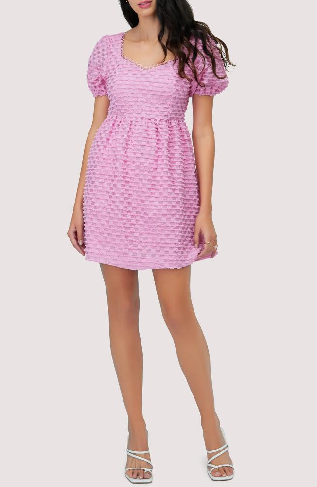 Lost + Wander Paloma Textured Minidress in Pink Cover