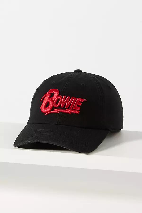 American Needle Bowie Baseball Cap Cover