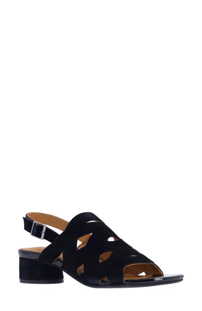 L'Amour des Pieds Elloise Slingback Sandal in Black Cover