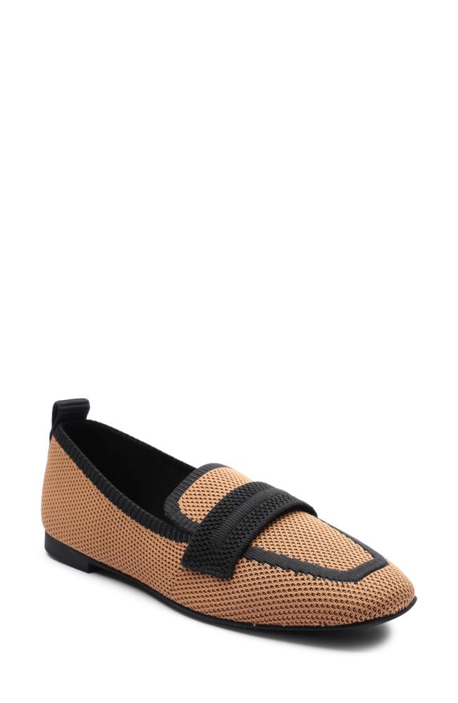 Sanctuary Blast Knit Loafer in Bistro/Black Cover