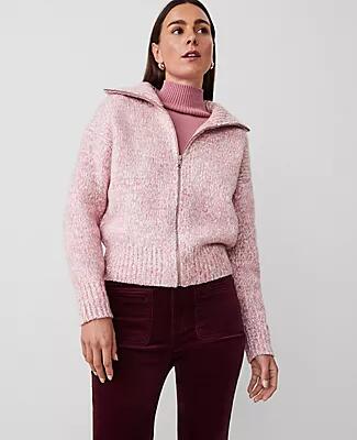 Ann Taylor Weekend Zip Bomber Jacket Cover