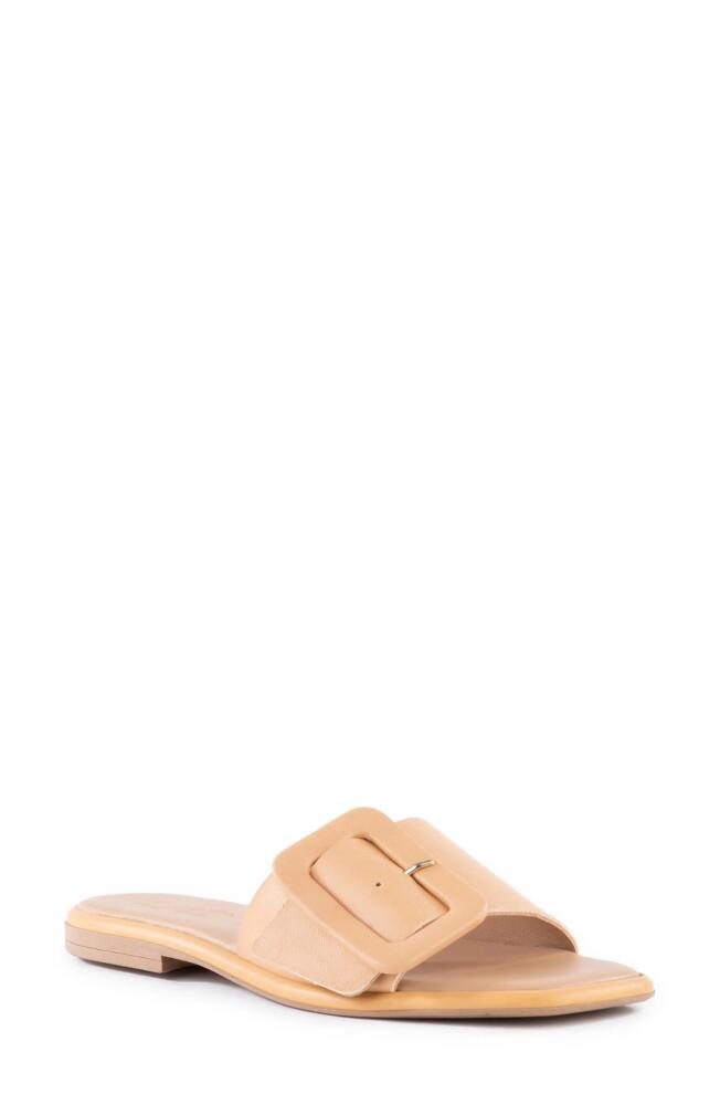 Seychelles Manhattan Slide Sandal in Beige Leather Cover