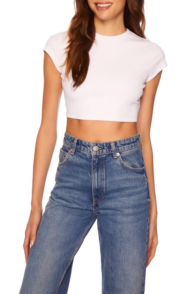 Susana Monaco Crewneck Rib Crop T-Shirt in Sugar Cover