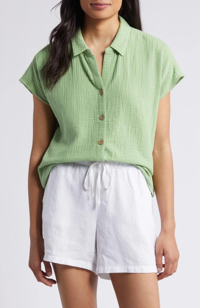 beachlunchlounge Amar Cotton Button-Up Shirt in Fresh Clover Cover