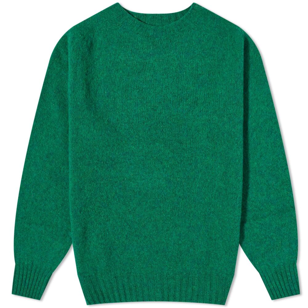 Howlin by Morrison Men's Howlin' Birth of the Cool Crew Knit in Greenlover Cover