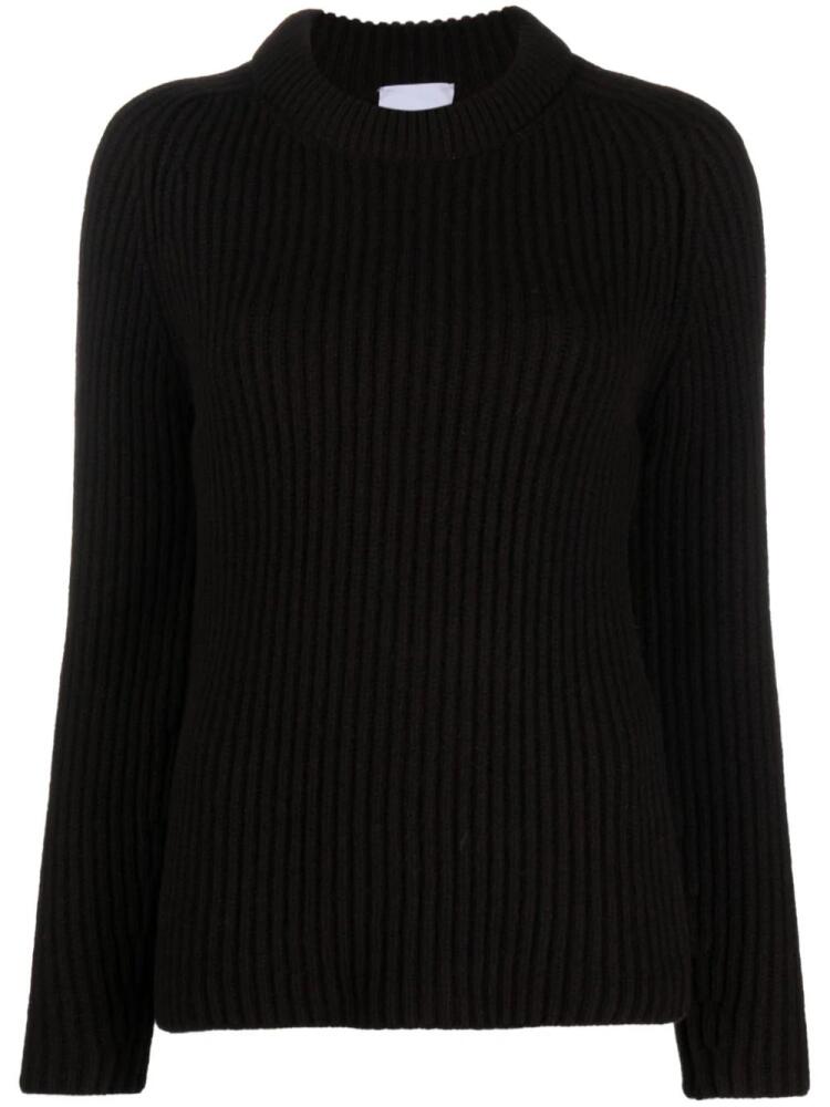 Patou 3D crew-neck ribbed jumper - Brown Cover