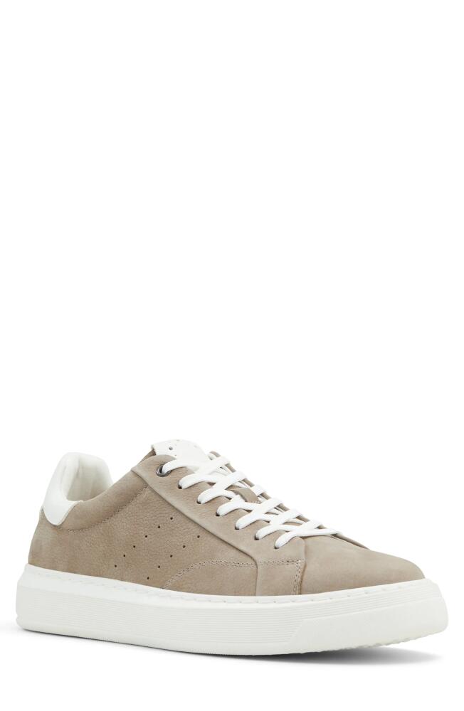 ALDO Marconi Sneaker in Grey Cover