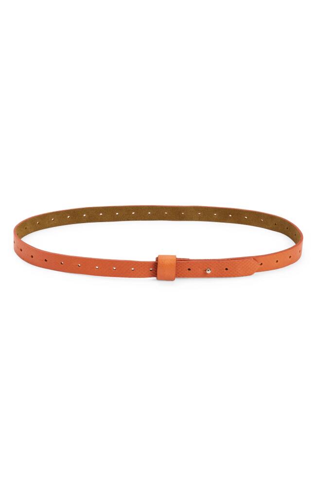 Ada Iris Snake Embossed Leather Belt in Orange Python Cover