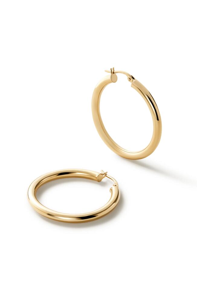 Ana Luisa Chunky Gold Hoop Earrings - Gold Classic Hoops Large Cover