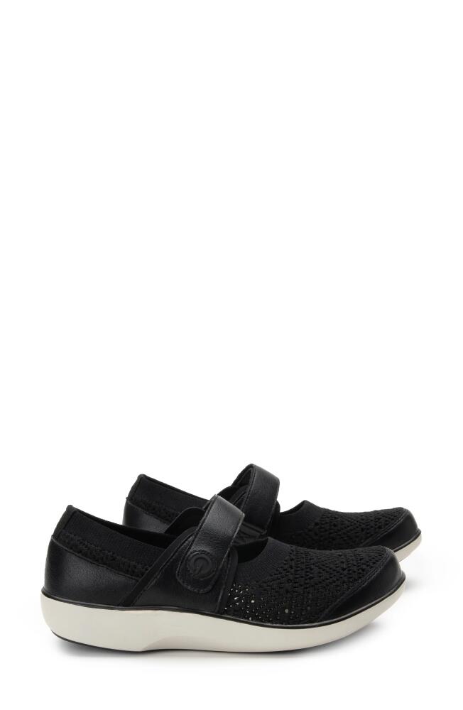 TRAQ by Alegria Qutie Sneaker in Crochet Black Cover