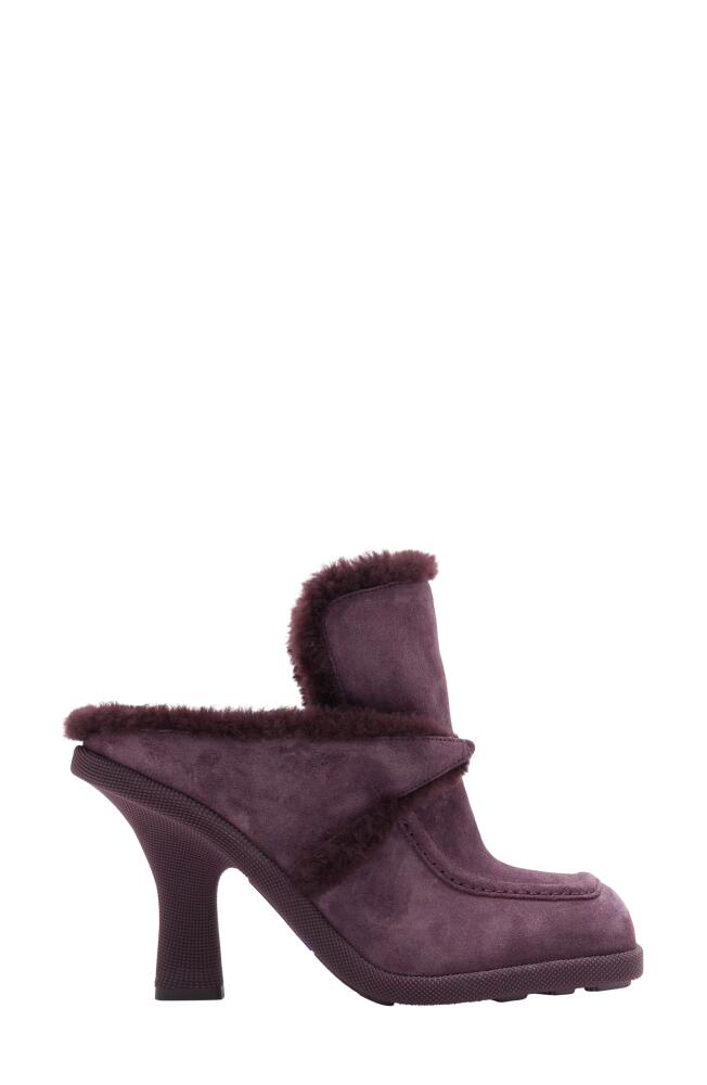 burberry Highland Genuine Shearling Mule in Aubergine Cover