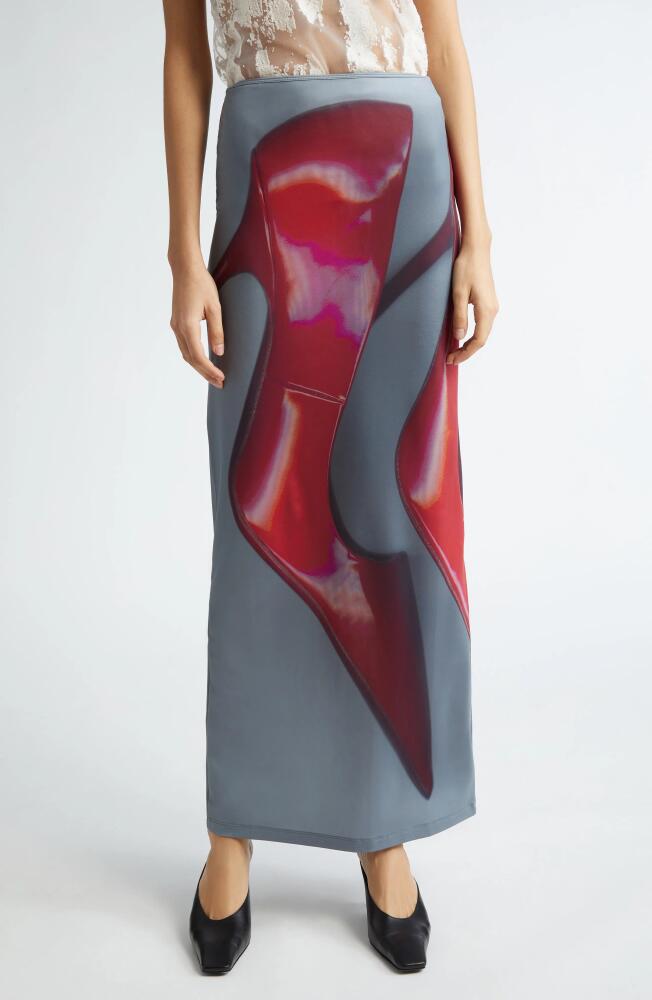 Acne Studios x Katerina Jebb Emay Maxi Skirt in Dark Grey/Red Cover