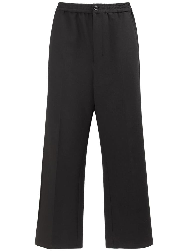 AMI PARIS Wool Blend Straight Pants Cover