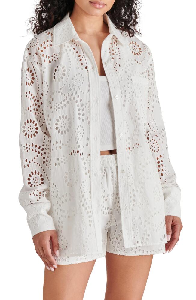 Steve Madden Cornelia Cotton Eyelet Button-Up Shirt in Cloud Cover