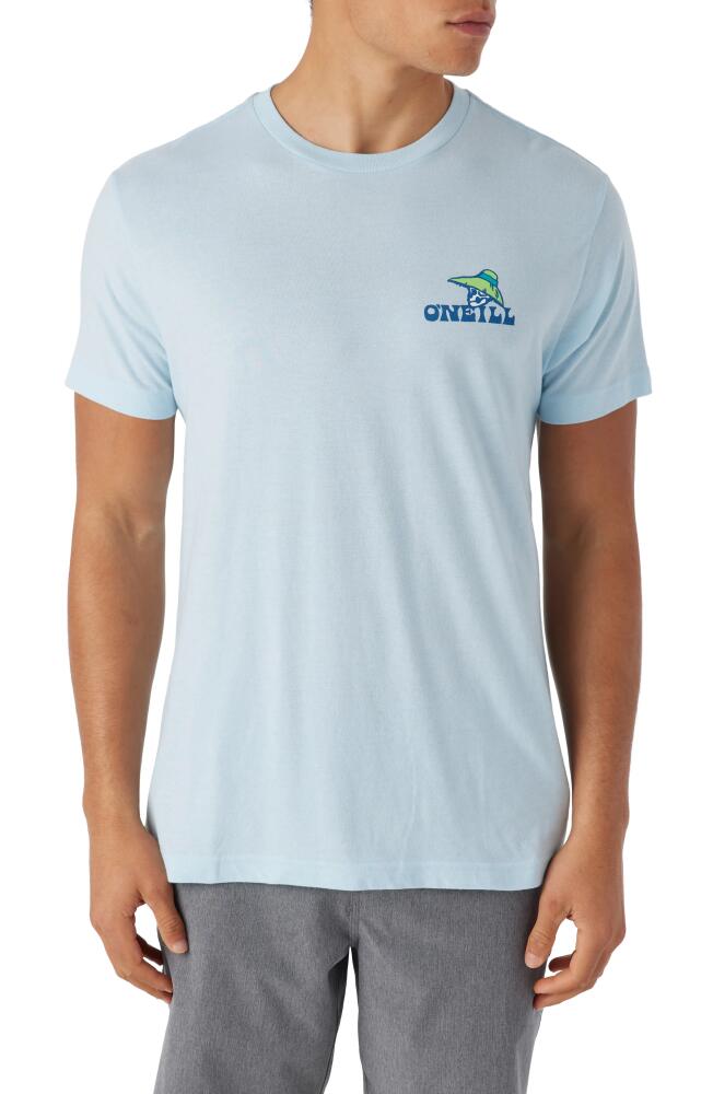 O'Neill Chill Bones Graphic T-Shirt in Sky Blue Heather Cover