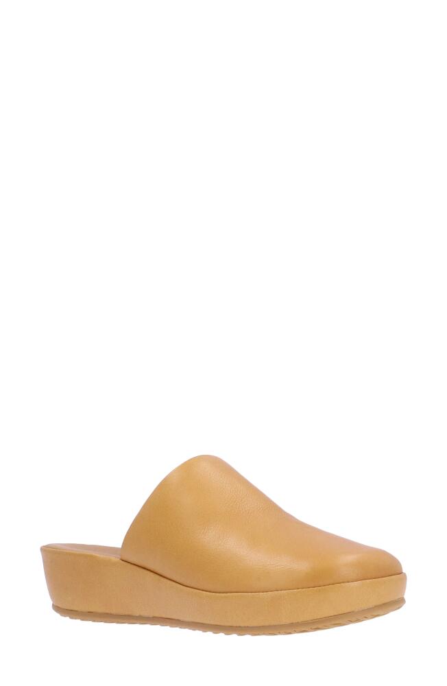 L'Amour des Pieds Cady Platform Wedge Mule in Lioness Cover