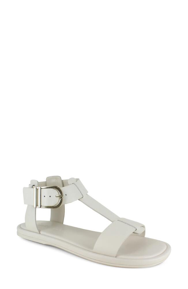 Splendid Fausta Ankle Strap Sandal in Oat Cover