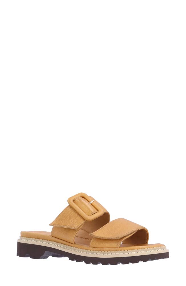 L'Amour des Pieds Dalbir Slide Sandal in Lioness Cover