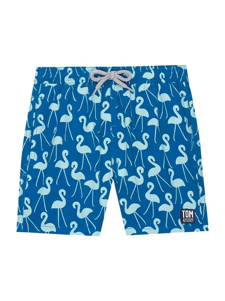 Tom & Teddy Men's Flamingo Print Quick Drying Swim Trunks - Sky Blue Cover