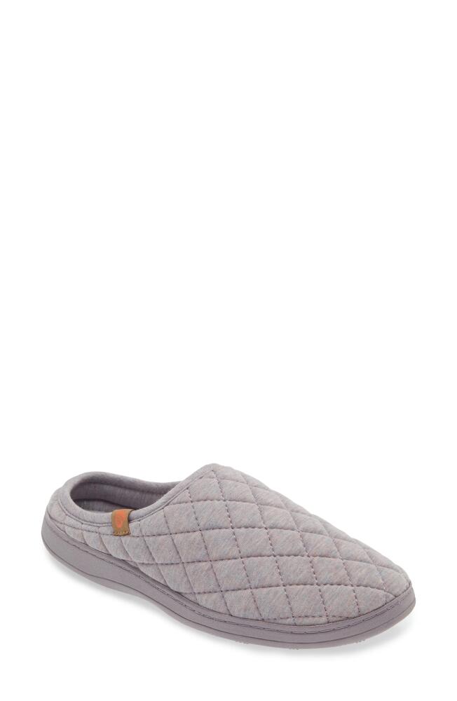 Acorn Lupine Quilted Hoodback Slipper in Purple Cover