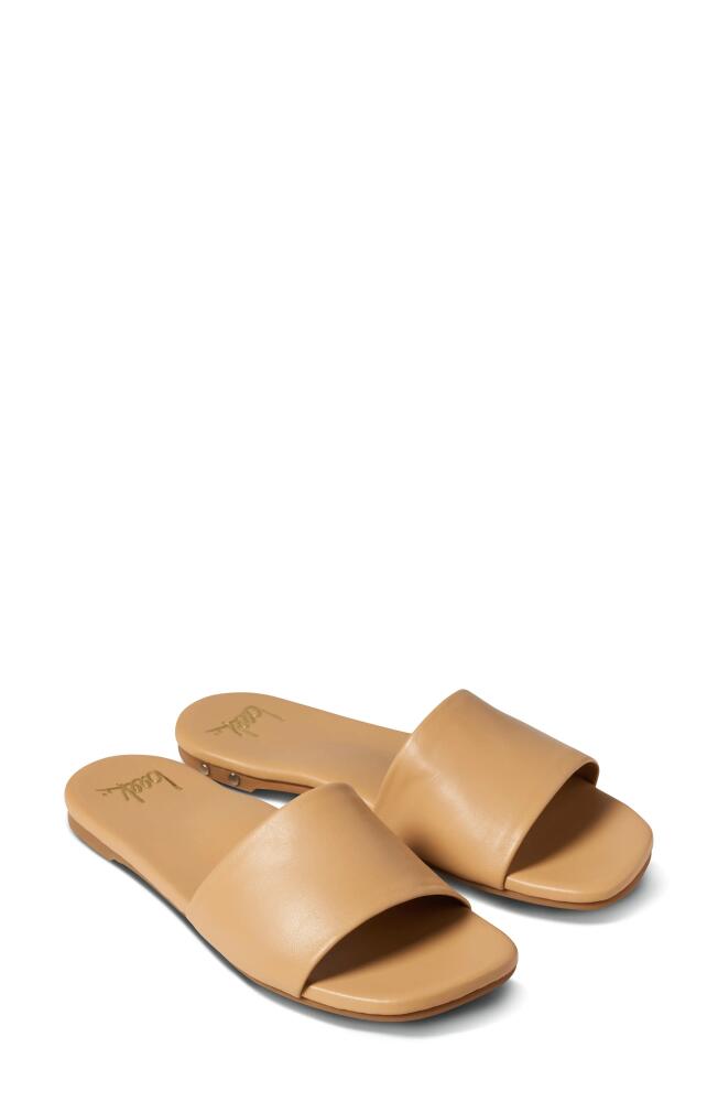 Beek Honeybird Square Toe Slide Sandal in Beach Cover