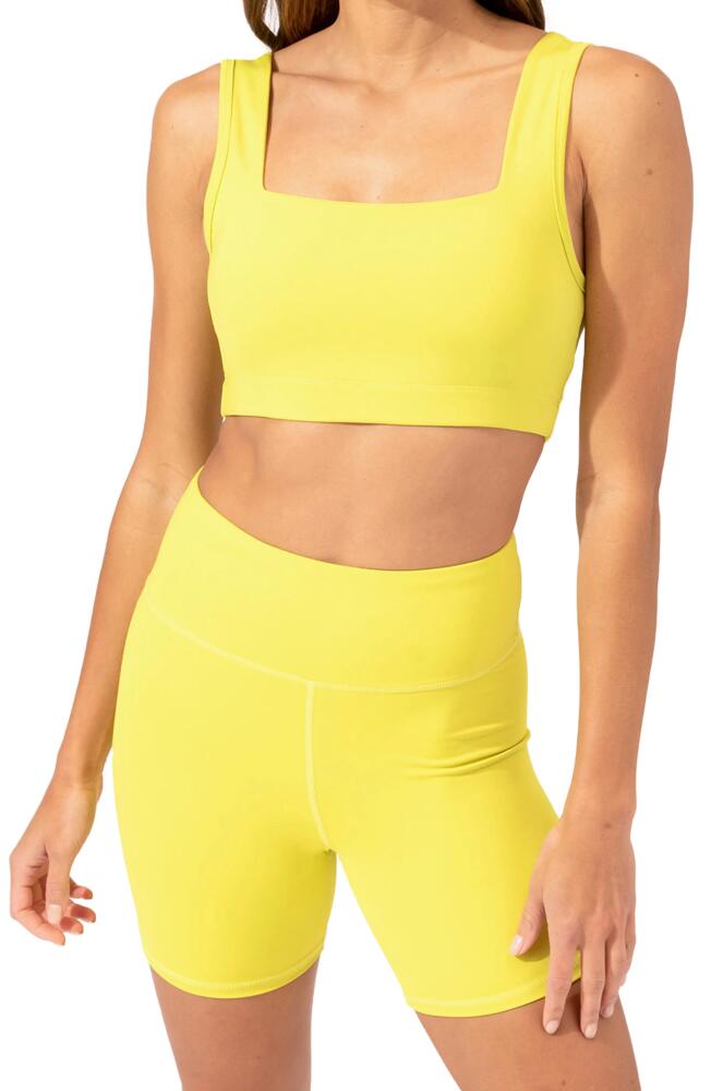 Threads 4 Thought Amorette Square Neck Sports Bra in Spark Cover