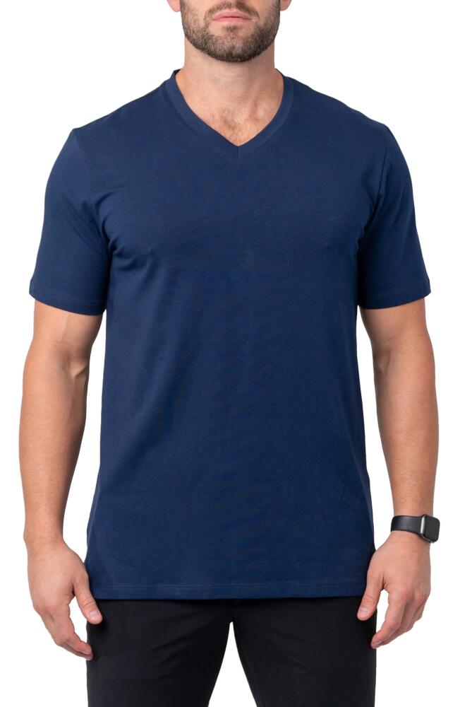 Maceoo Vivaldi V-Neck Cotton T-Shirt in Blue Cover