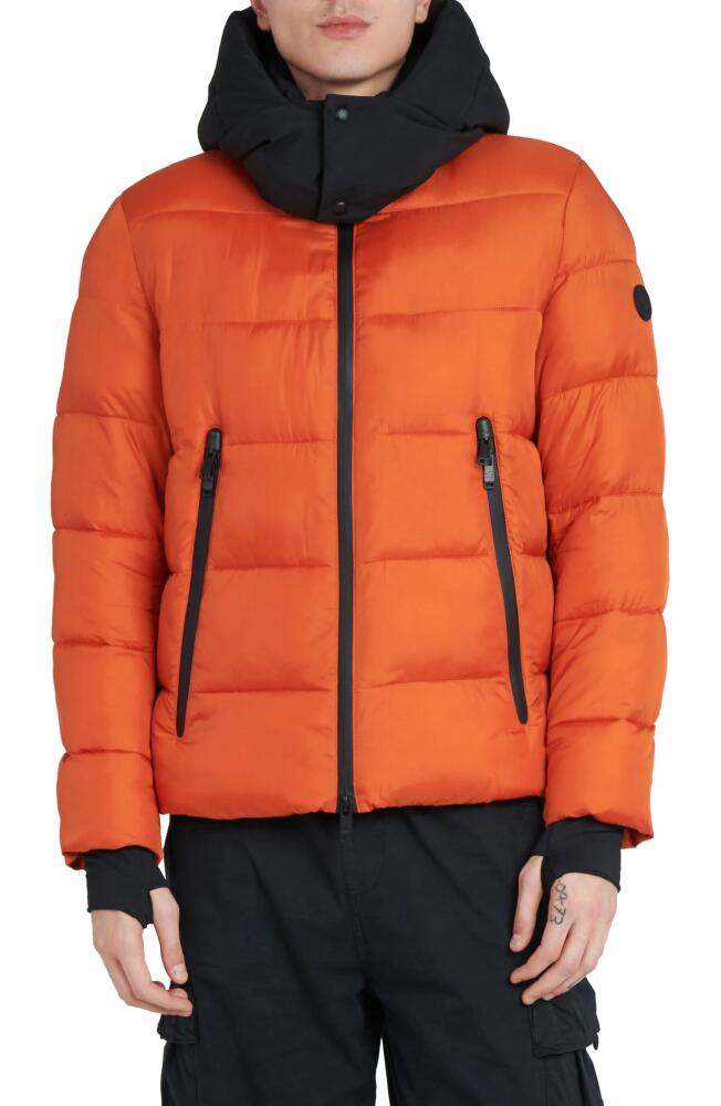 The Recycled Planet Company Tag Hooded Water Resistant Insulated Puffer Jacket in Dusty Orange/Black Cover