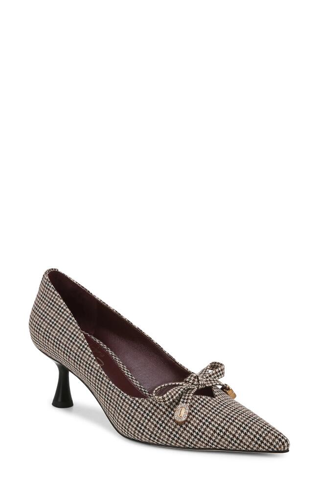 Circus NY by Sam Edelman Fleur Pointed Toe Pump in Black Natural Multi Cover