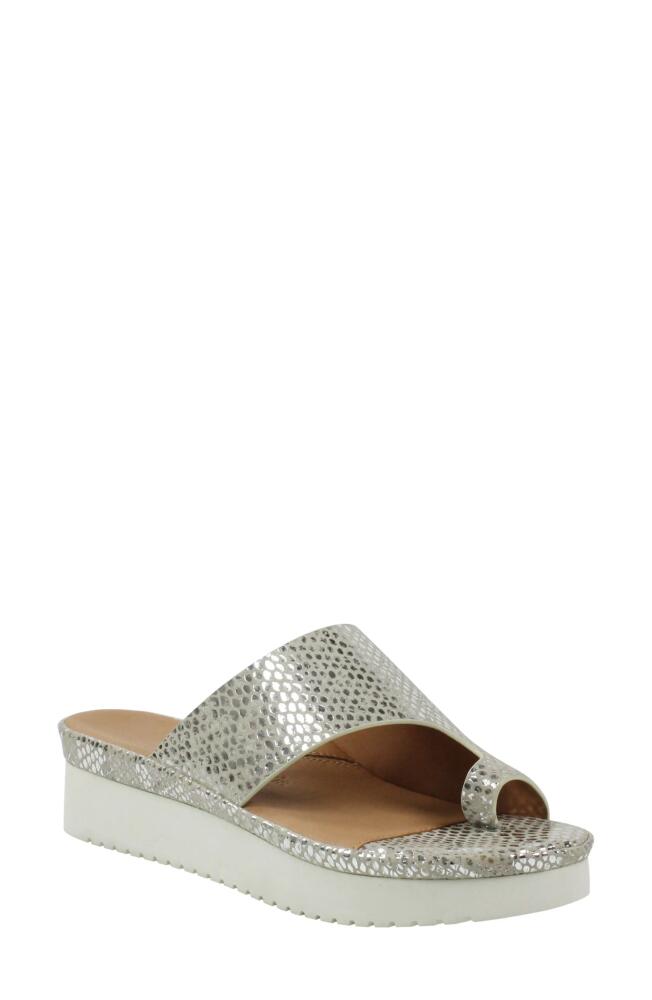 L'Amour des Pieds Ahlina Platform Sandal in Silver/Gold Cover