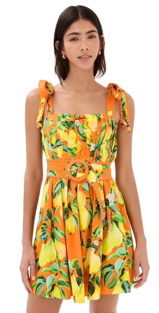 FARM Rio Orange Chic Pears Mini Dress Chic Pears Orange Cover