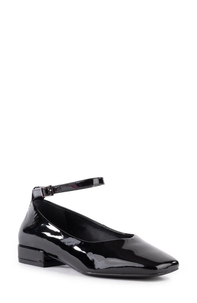 Seychelles Pumpkin Ankle Strap Square Toe Pump in Black Cover