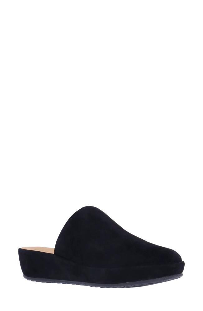 L'Amour des Pieds Cady Platform Wedge Mule in Black Cover