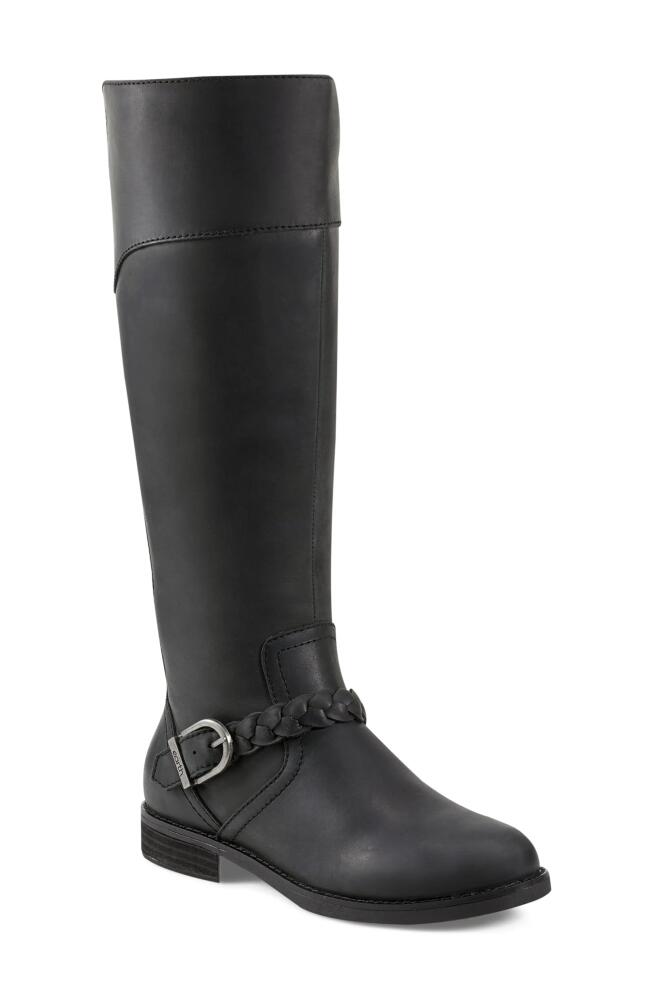 Earth Mira Knee High Boot in Black Cover