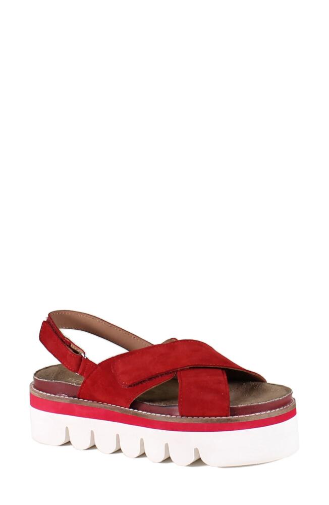 Diba True Razzle Dazz Slingback Platform Sandal in Red Cover