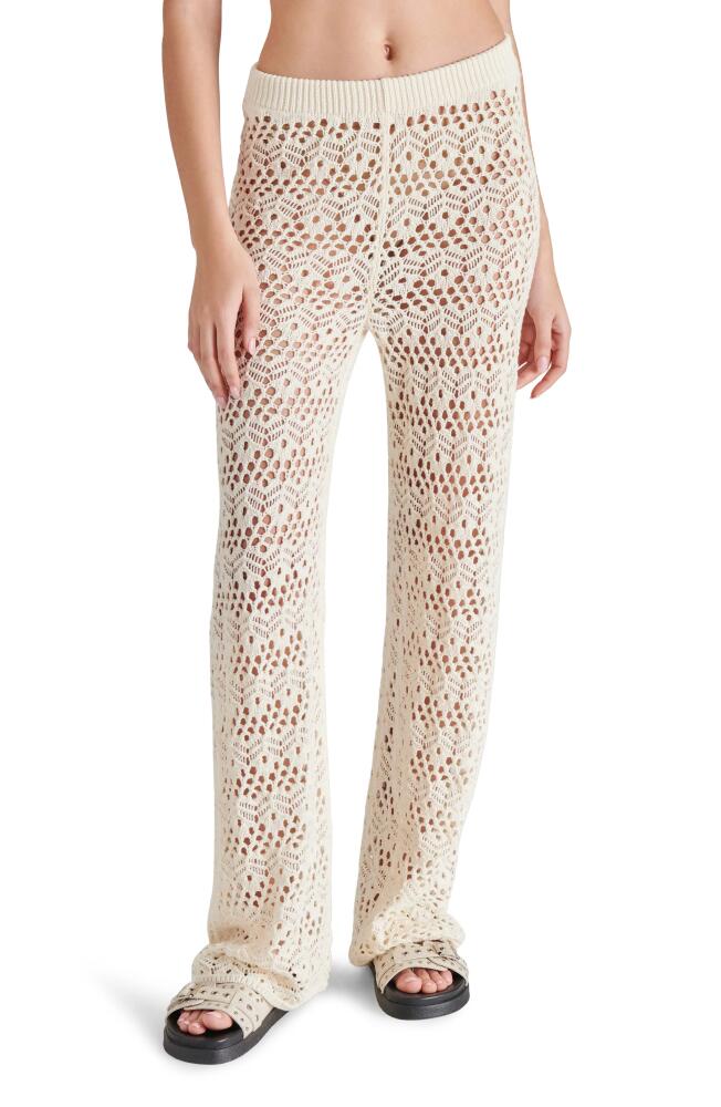 Steve Madden Eddie Open Stitch Flare Pants in Natural Cover