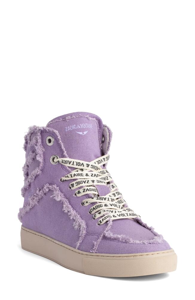 Zadig & Voltaire Flash High Top Sneaker in Boomerang Cover